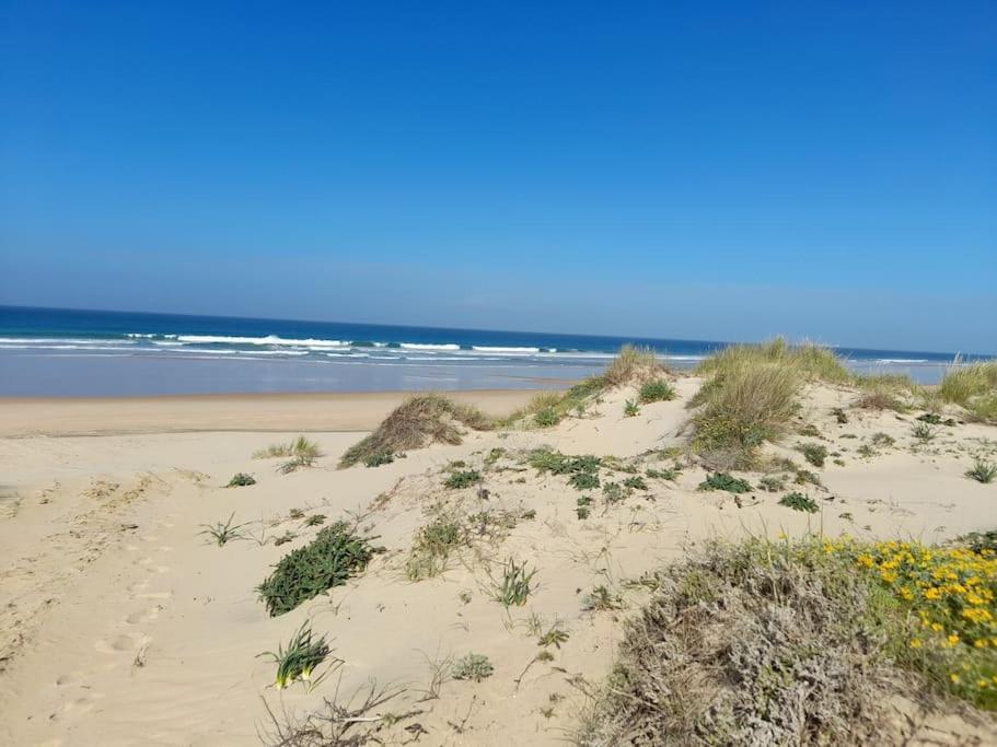 Apartamento Playa La Barrosa 치클라나 데 라 프론테라 외부 사진