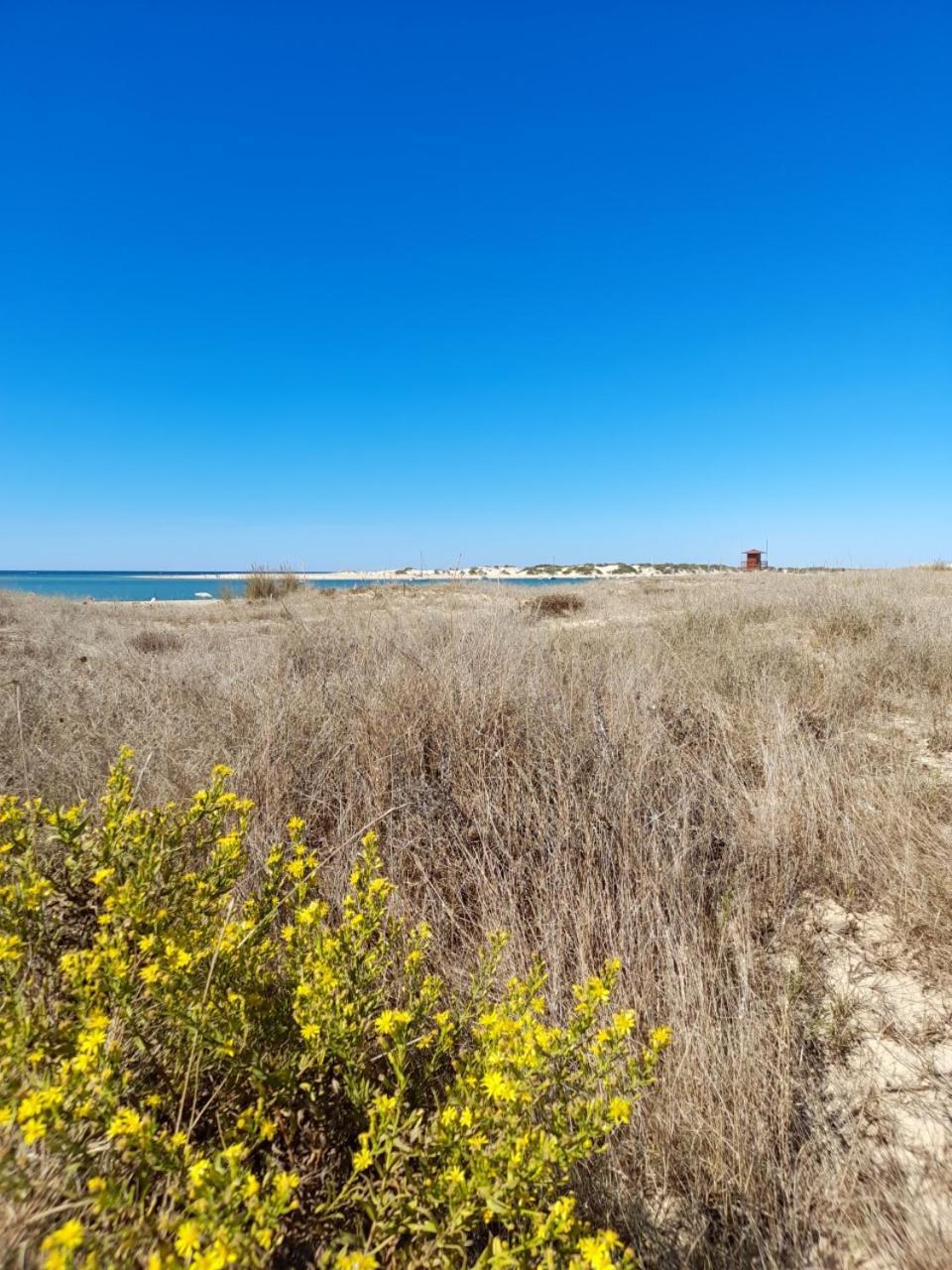 Apartamento Playa La Barrosa 치클라나 데 라 프론테라 외부 사진