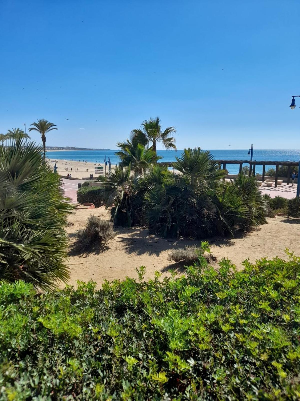 Apartamento Playa La Barrosa 치클라나 데 라 프론테라 외부 사진