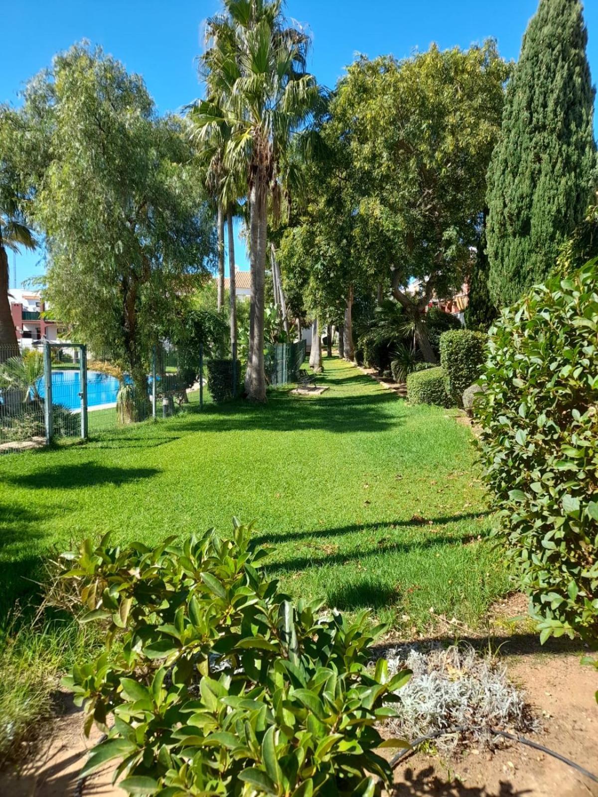 Apartamento Playa La Barrosa 치클라나 데 라 프론테라 외부 사진